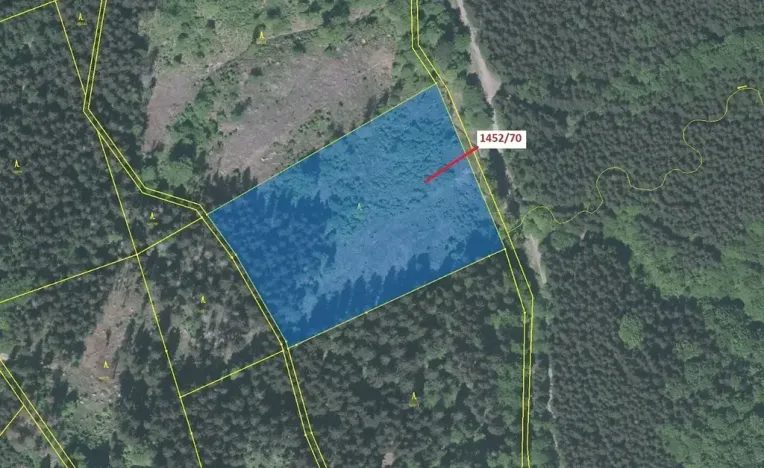 Dražba lesa, Horní Lomná, 17892 m2