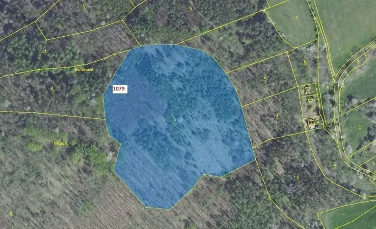 Dražba lesa, Nové Dvory, 32925 m2