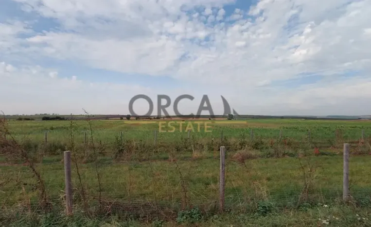 Prodej pole, Strachotín, 1904 m2