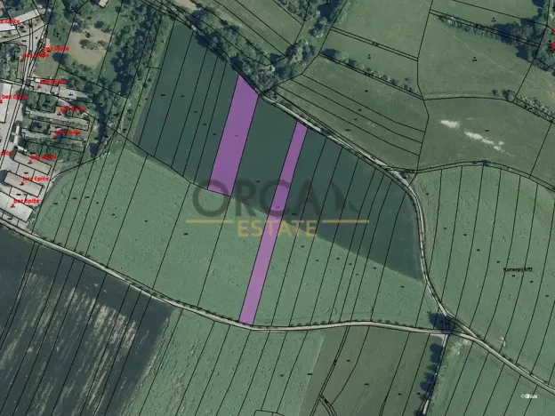 Prodej pole, Stříbrná Skalice, 6185 m2