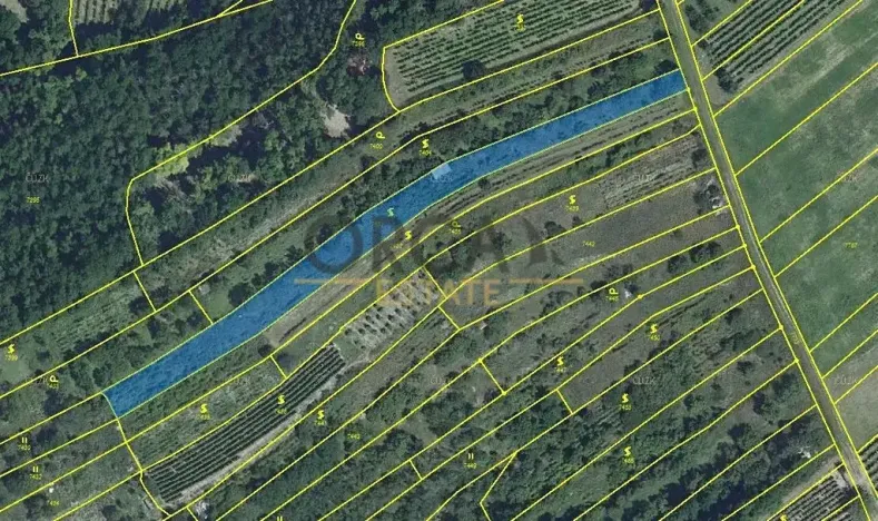 Prodej sadu/vinice, Velké Němčice, 2803 m2