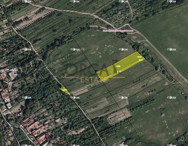 Prodej pole, Nová Lhota, 3529 m2