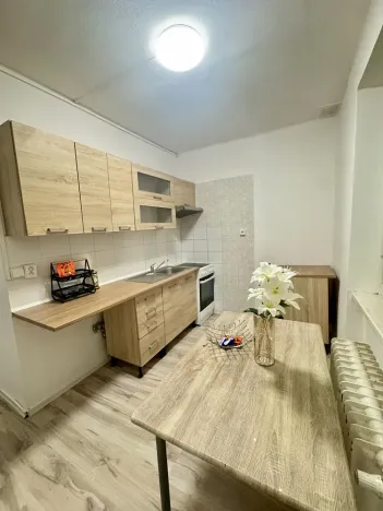 Pronájem bytu 2+1, Most, Pionýrů, 52 m2