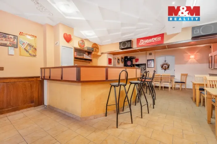 Prodej ubytování, Bílina - Mostecké Předměstí, Kyselská, 170 m2