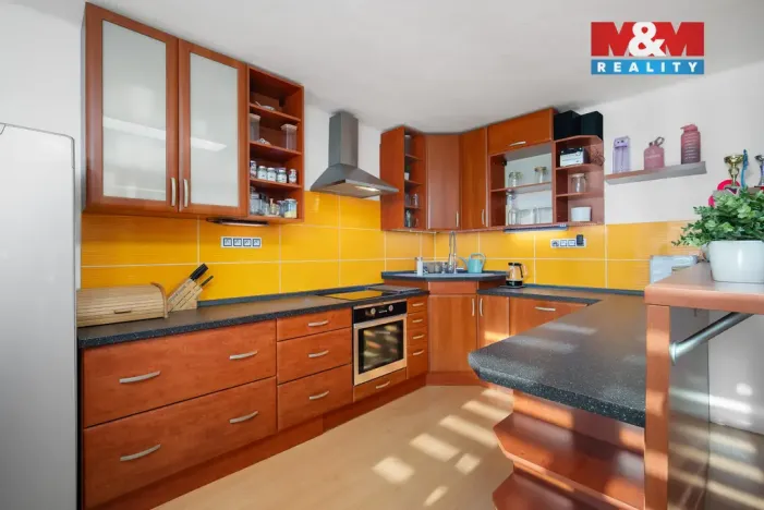 Prodej rodinného domu, Nechanice - Staré Nechanice, 287 m2