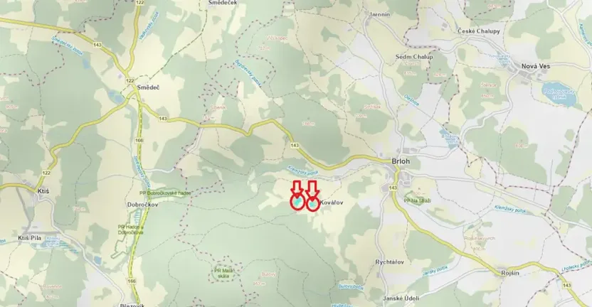 Prodej podílu lesa, Brloh, 5446 m2