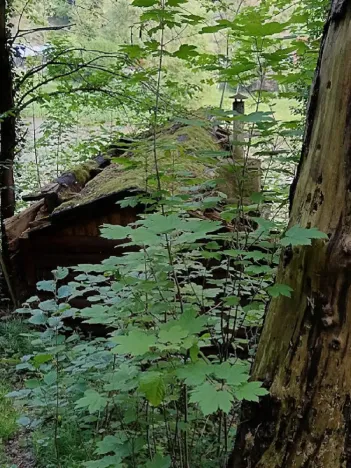 Prodej chaty, Kamenný Přívoz - Hostěradice, 12 m2