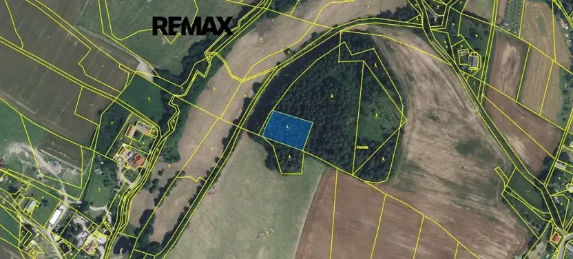 Prodej lesa, Písařov, 2762 m2