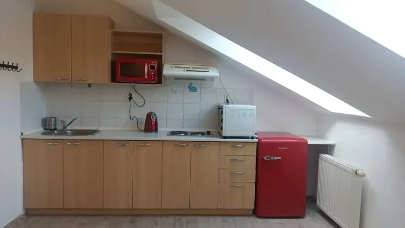 Pronájem bytu 1+kk, Brno, Skopalíkova, 25 m2