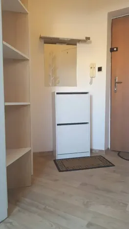 Pronájem bytu 1+kk, Brno, Skopalíkova, 25 m2