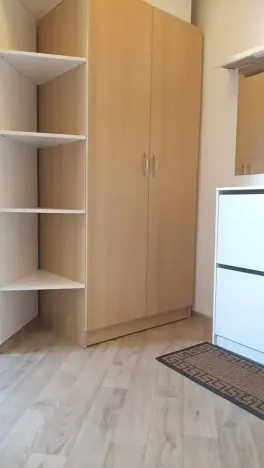Pronájem bytu 1+kk, Brno, Skopalíkova, 25 m2