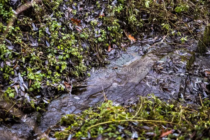 Prodej chalupy, Nevězice, 128 m2