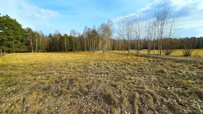 Prodej pozemku pro bydlení, Hranice, 10095 m2