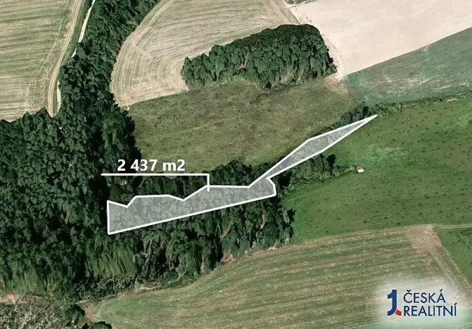 Prodej lesa, Šípy, 2437 m2