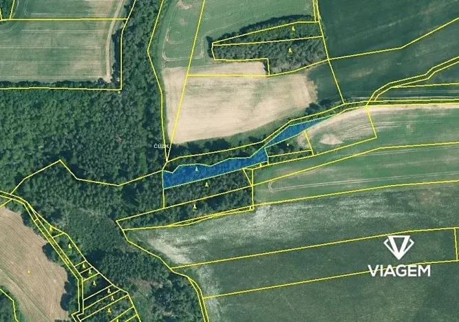 Prodej lesa, Šípy, 2437 m2