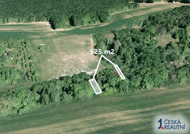 Prodej lesa, Hradčovice, 525 m2