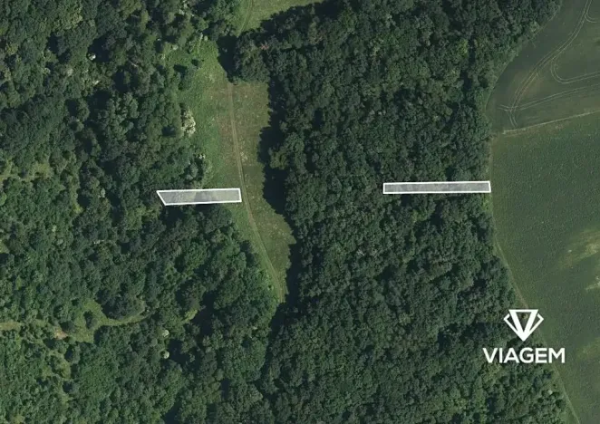 Prodej lesa, Hradčovice, 805 m2