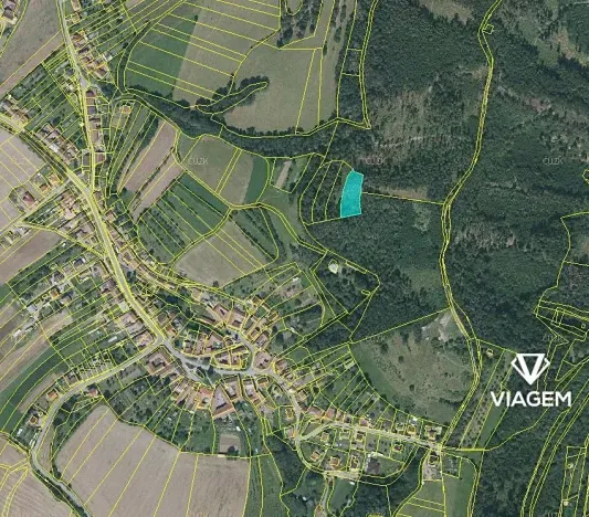 Prodej podílu lesa, Jabloňany, 1653 m2