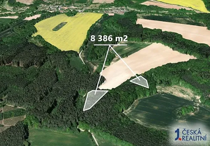 Prodej podílu lesa, Snědovice, 4193 m2