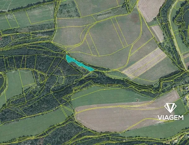 Prodej podílu lesa, Horní Poříčí, 1352 m2