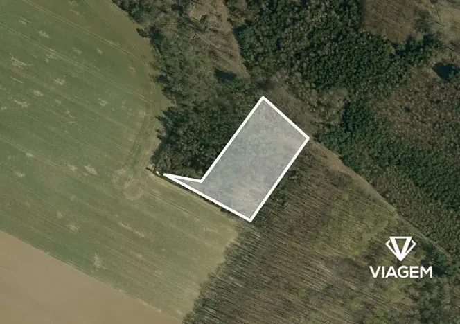 Prodej podílu lesa, Mělnické Vtelno, 980 m2