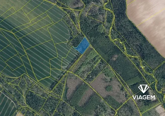 Prodej podílu lesa, Mělnické Vtelno, 980 m2