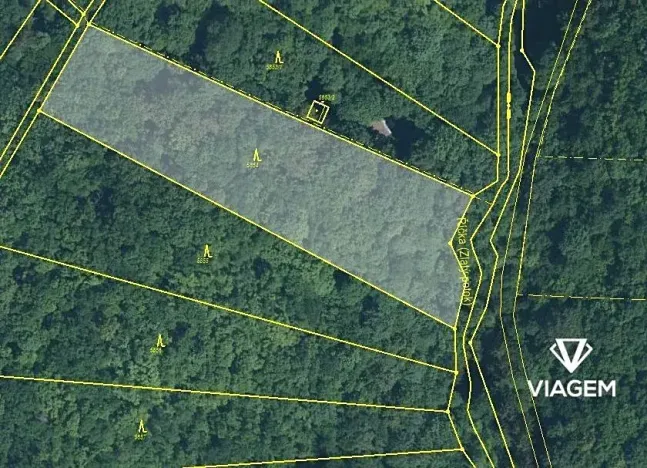 Prodej podílu lesa, Brno, 1092 m2