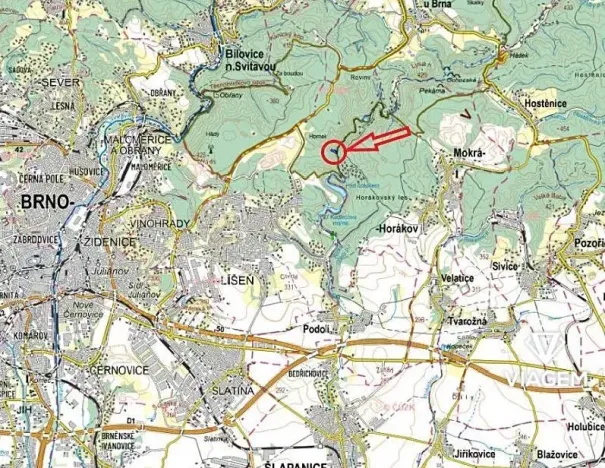 Prodej podílu lesa, Brno, 1092 m2
