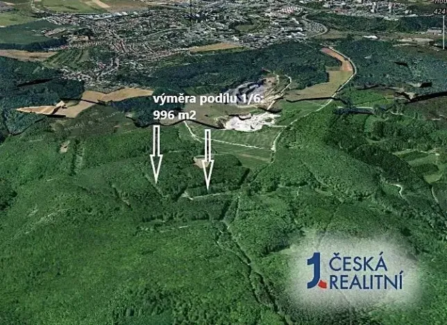 Prodej podílu lesa, Brno, 996 m2
