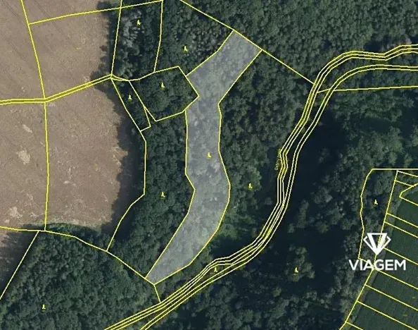 Prodej podílu lesa, České Lhotice, 7146 m2