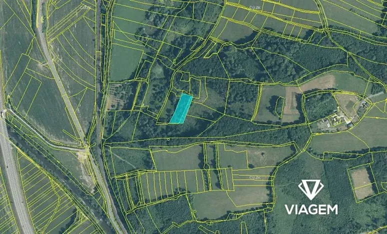 Prodej podílu lesa, Jablůnka, 921 m2