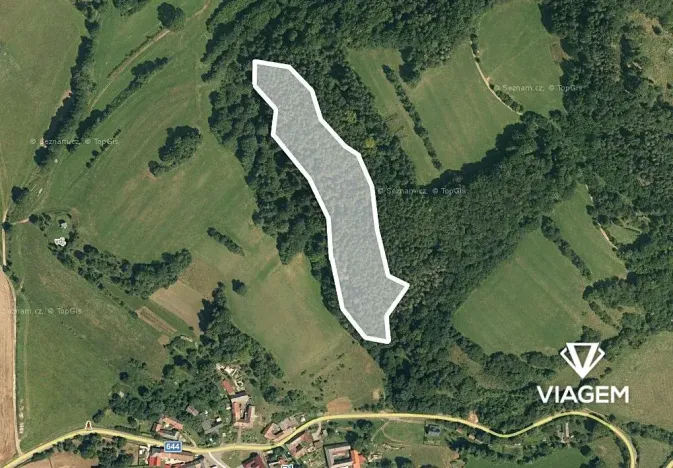 Prodej podílu lesa, Vranová Lhota, 1741 m2
