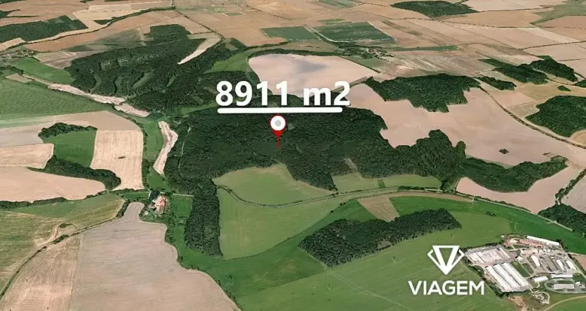 Prodej podílu lesa, Koloveč, 2599 m2