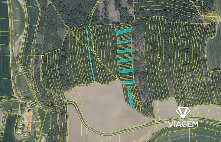 Prodej podílu lesa, Koloveč, 2599 m2