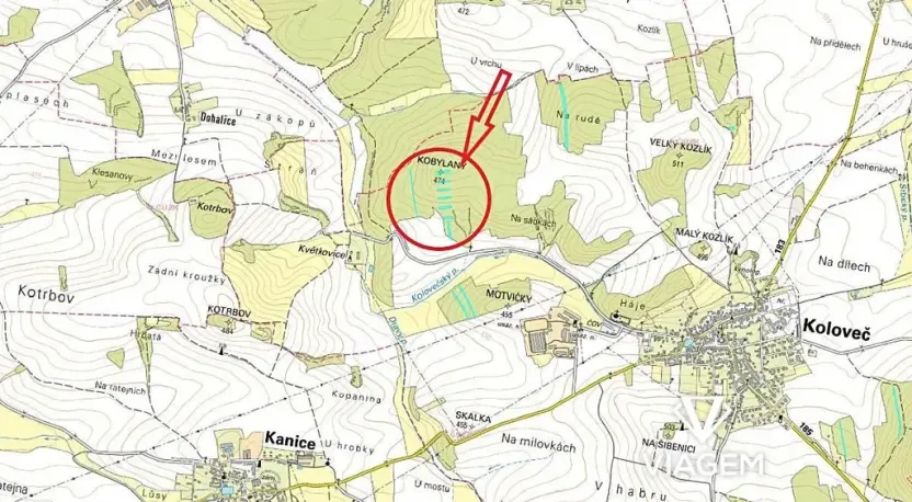 Prodej podílu lesa, Koloveč, 2599 m2