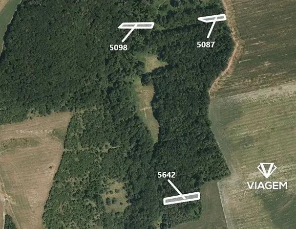 Prodej podílu lesa, Hradčovice, 985 m2