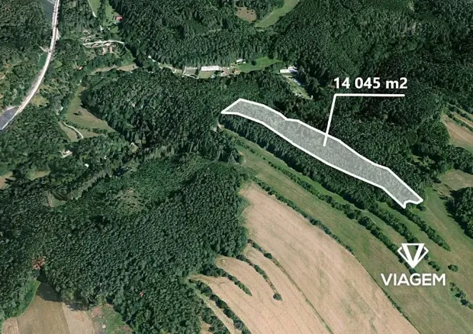 Prodej podílu lesa, Kuřimská Nová Ves, 6242 m2