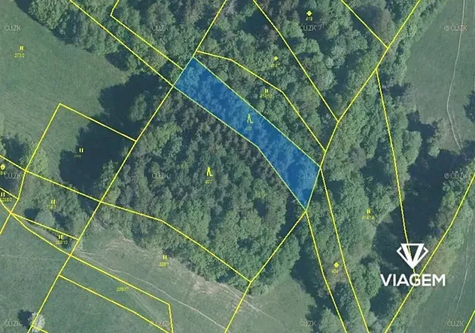 Prodej podílu lesa, Horní Lideč, 662 m2