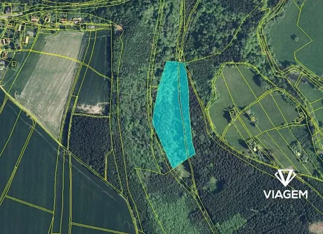 Prodej podílu lesa, Sudislav nad Orlicí, 21329 m2