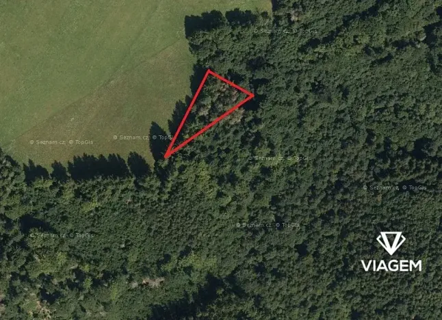 Prodej podílu lesa, Kosov, 548 m2