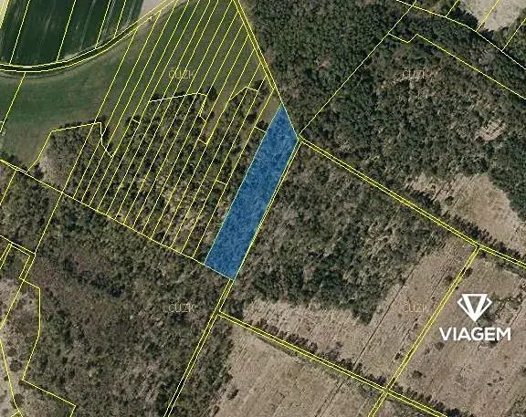 Prodej lesa, Borkovice, 8398 m2