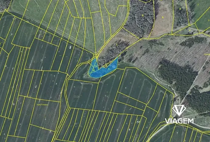 Prodej podílu lesa, Radošovice, 683 m2