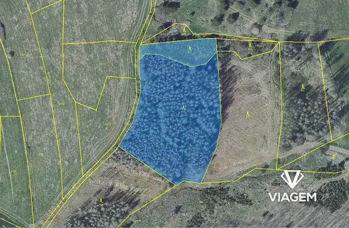 Prodej podílu lesa, Radošovice, 2390 m2