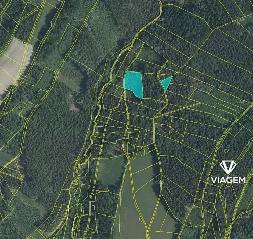 Prodej podílu lesa, Roztoky u Semil, 2737 m2