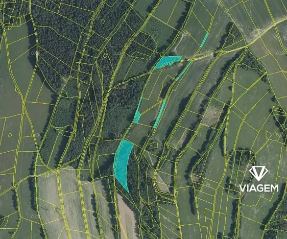 Prodej podílu lesa, Roztoky u Semil, 6000 m2