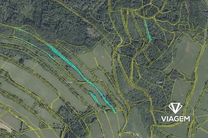 Prodej podílu lesa, Zubrnice, 2835 m2