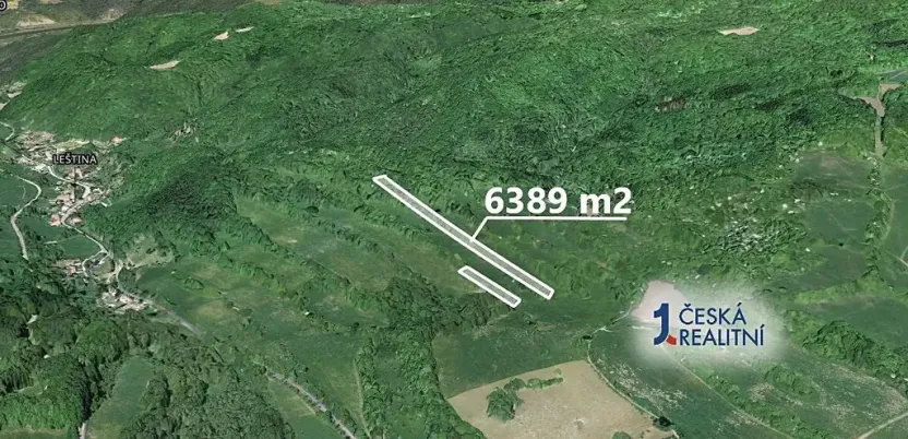 Prodej podílu lesa, Zubrnice, 2835 m2