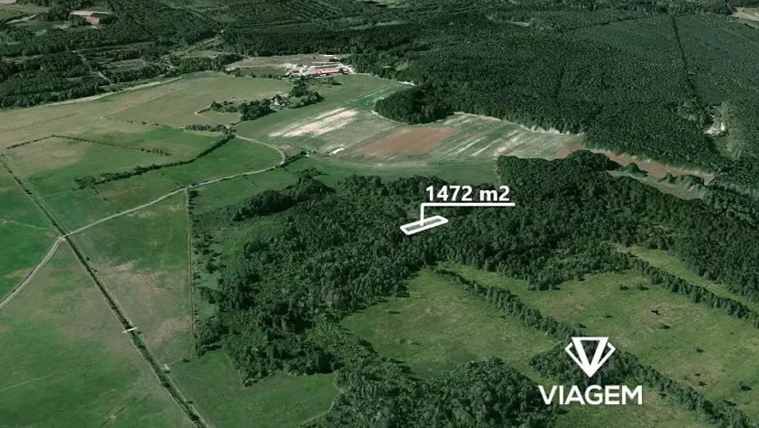 Prodej lesa, Borkovice, 1472 m2