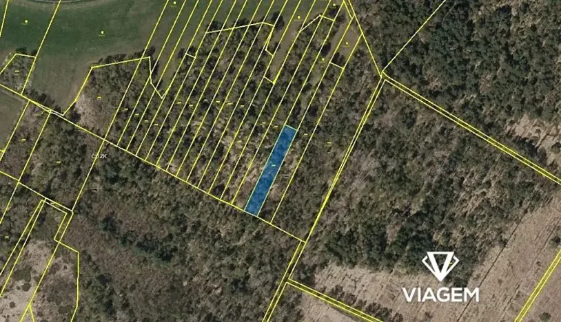 Prodej lesa, Borkovice, 1472 m2