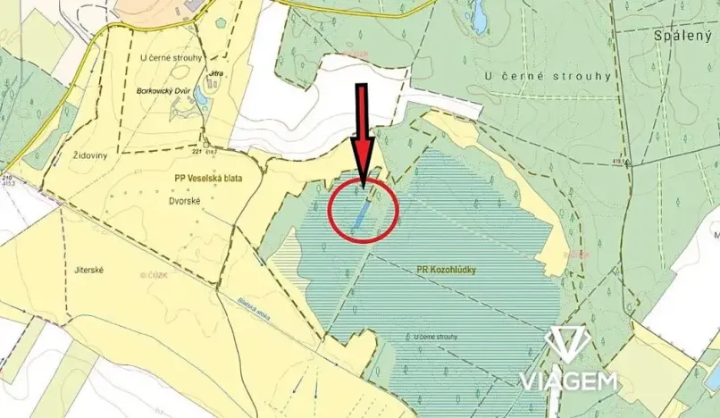 Prodej lesa, Borkovice, 1472 m2